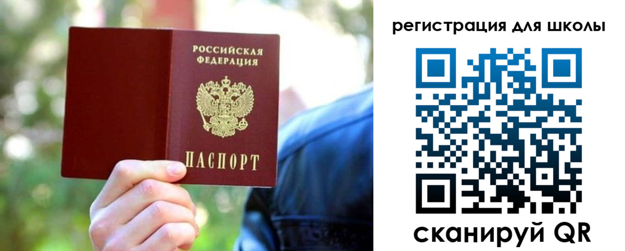 прописка законно в Курганинске